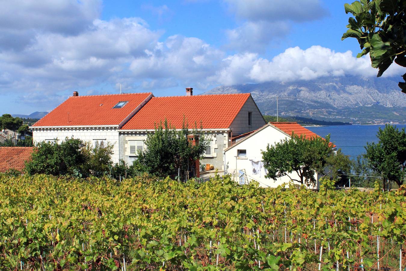 Ganze Wohnung, 1-Zimmer-Ferienwohnung am Strand Lumbarda, Korcula A-4378-b in Lumbarda, Korcula
