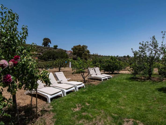 Casa rural para 6 personas, con jardín en Vega de San Mateo - 3