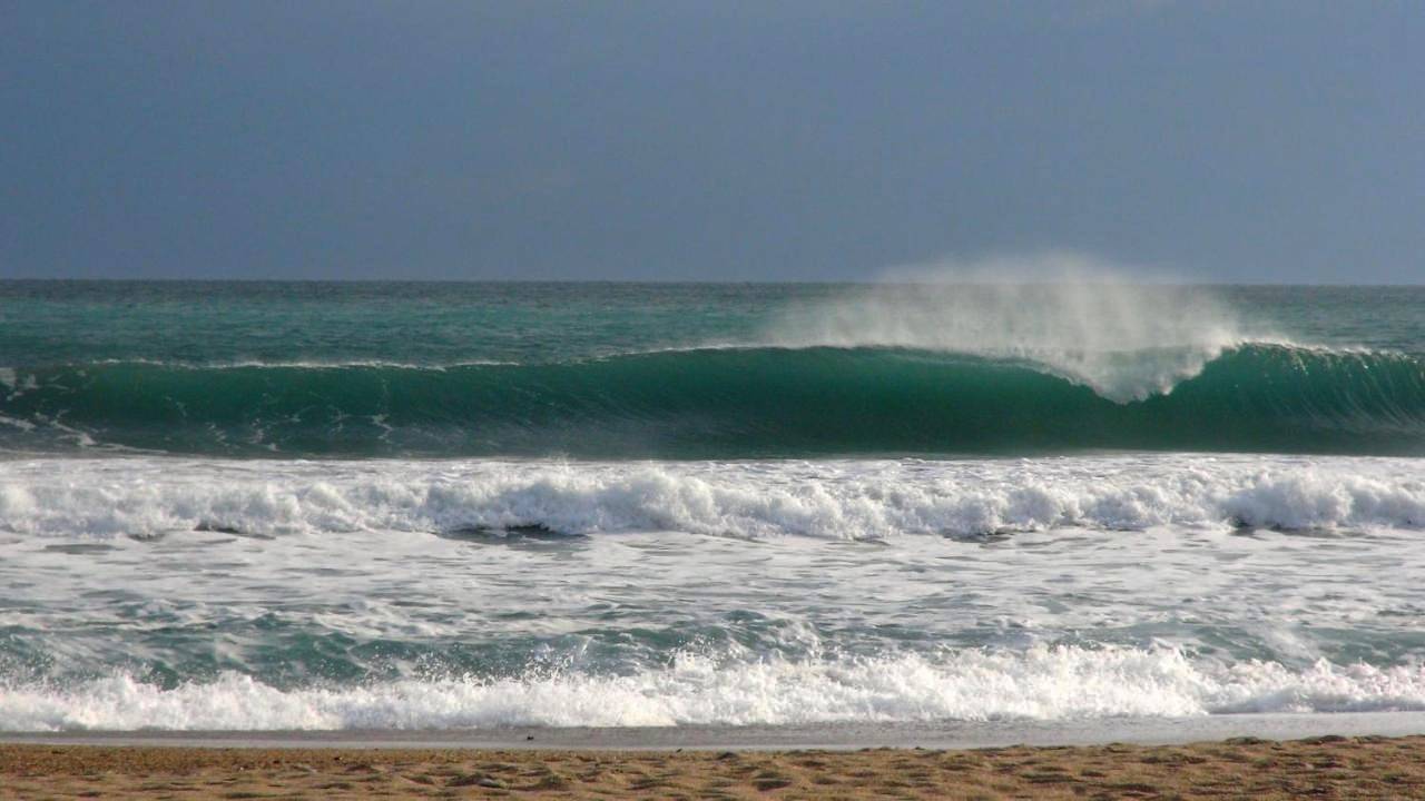 Hotei de la Plage Montpellier Sud in Palavas-les-Flots, Côte méditerranéenne (France)