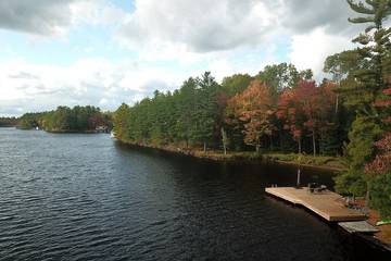 Cottage for 10 Guests in Gravenhurst, Muskoka, Picture 1