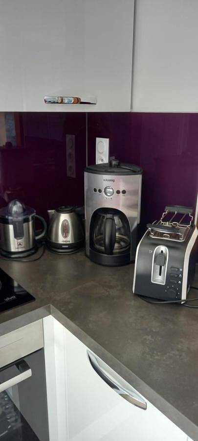 Gîte pour 2 personnes, avec jardin et vue à Saint-Étienne-de-Tinée - 3