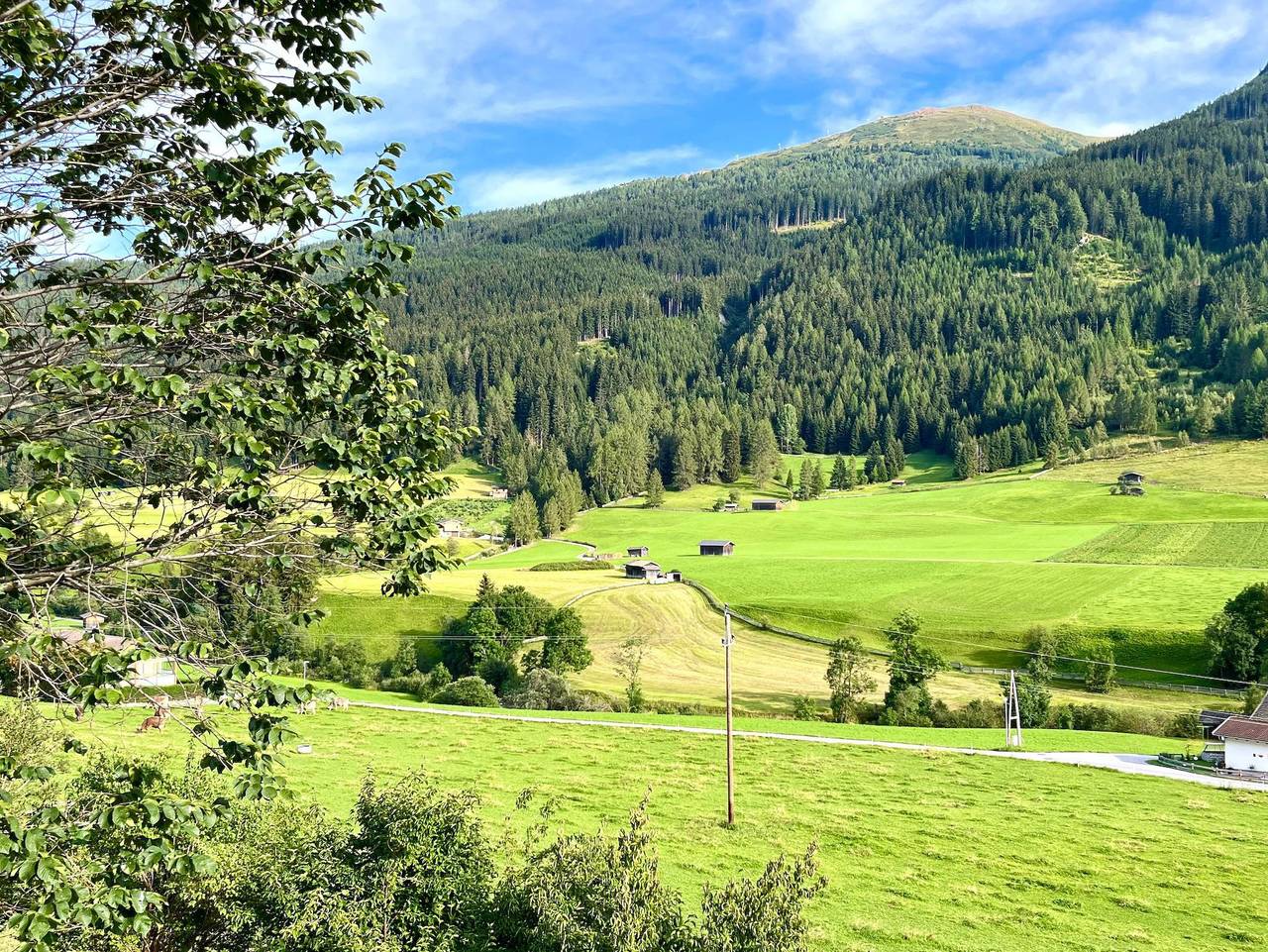 Ganze Ferienwohnung, Prangerhof - Appartement 1 Süd in Stubaier Alpen, Trins