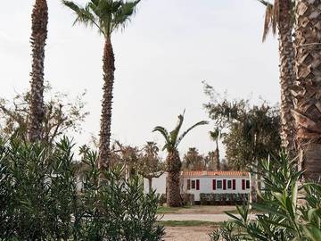 Camping für 4 Personen in Terres de l'Ebre, Tarragona Provinz, Bild 1