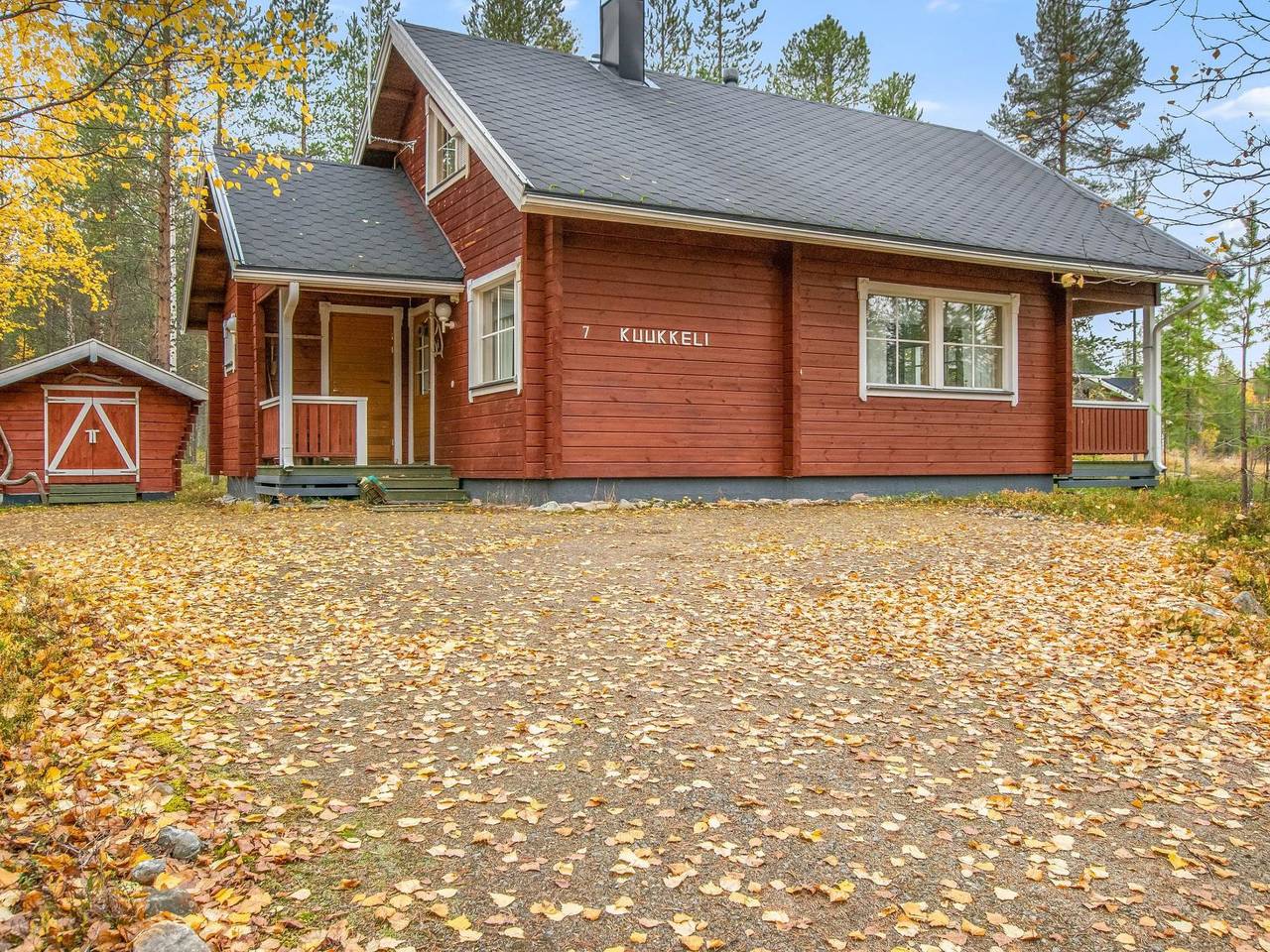 Kuukkeli in Lappland