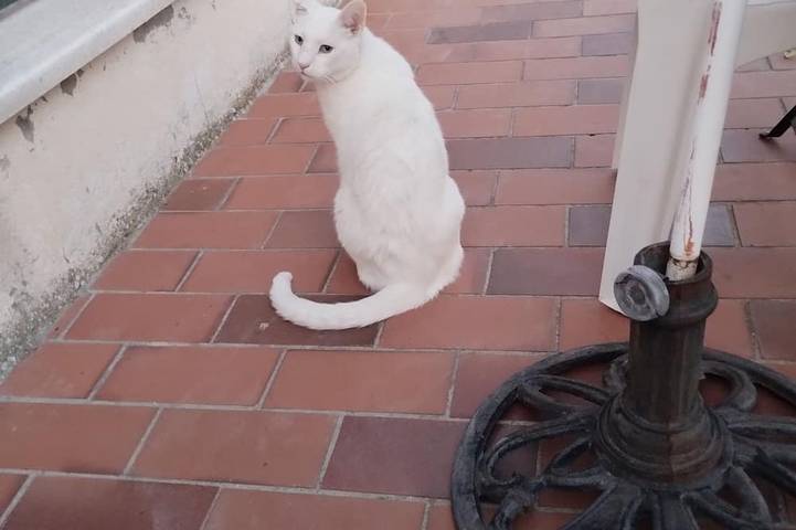 Location de vacances pour 2 personnes à Estoublon - 3