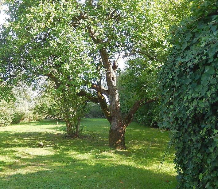 Ferienhaus für 6 Personen, mit Garten und Terrasse in Pellworm - 3