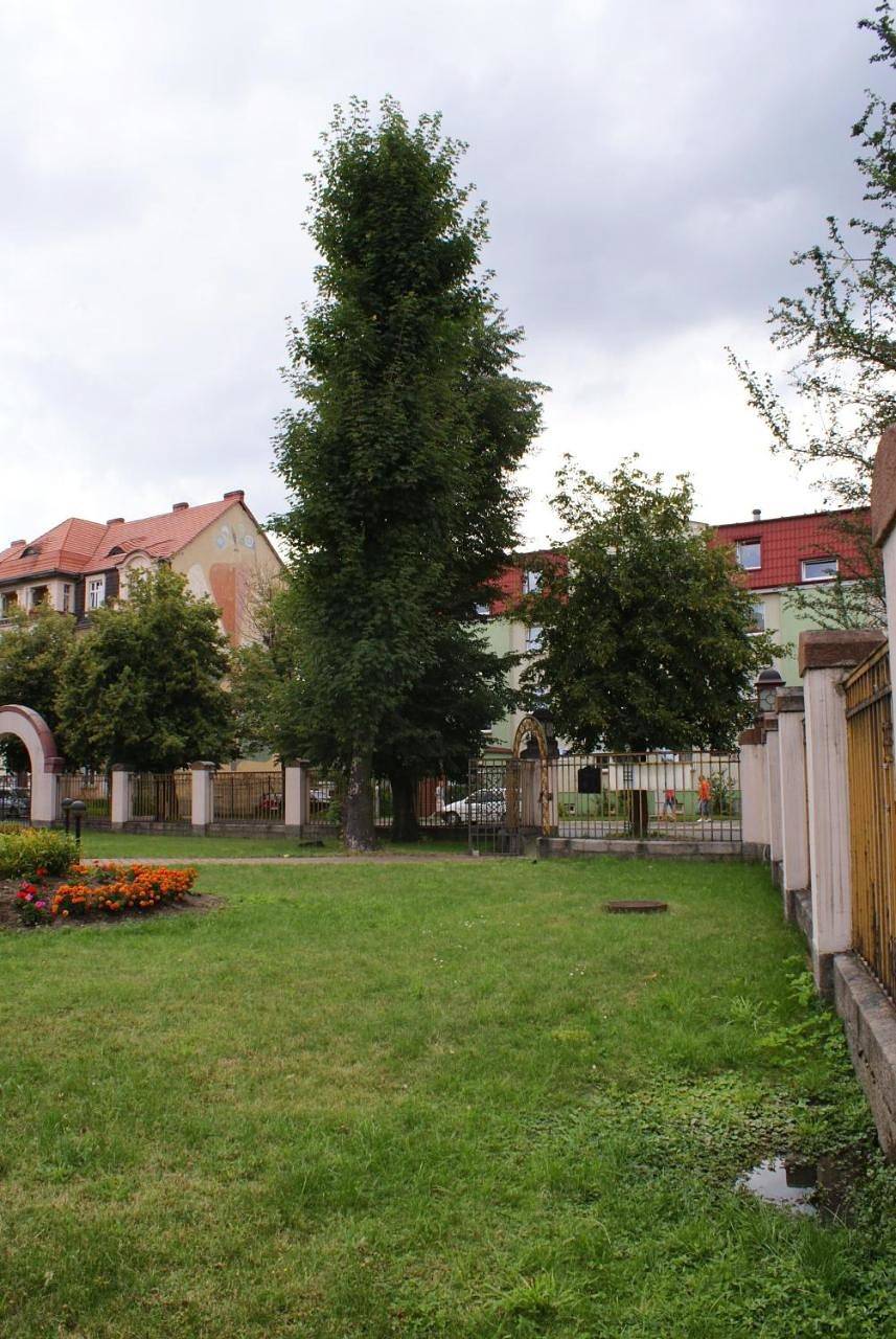 Villa Bergera in Dzierżoniów, Sudety (Polska)