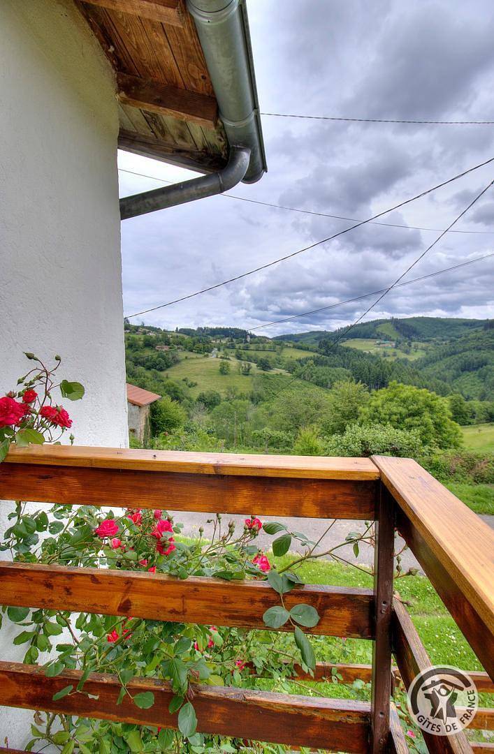 Gîte pour 6 personnes, avec jardin, animaux acceptés dans Rhône - 2