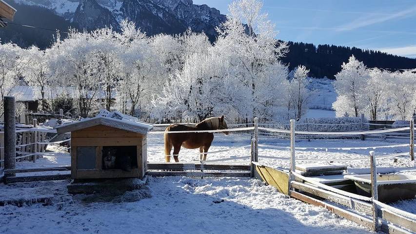 Bauernhaus für 2 Personen, mit Balkon und Ausblick, kinderfreundlich in Tirol - 3