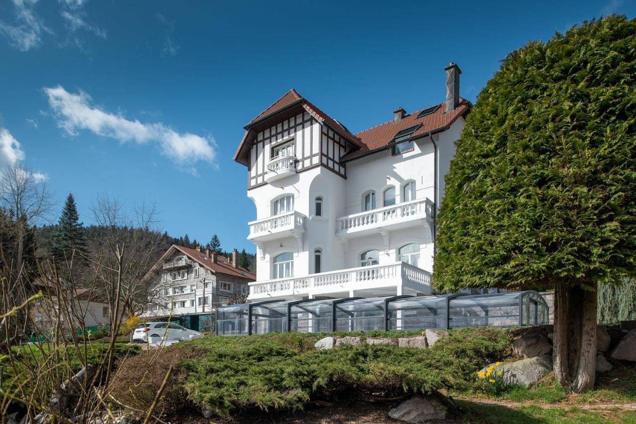 Double Room with Lake View in Lac de Gérardmer, Gérardmer