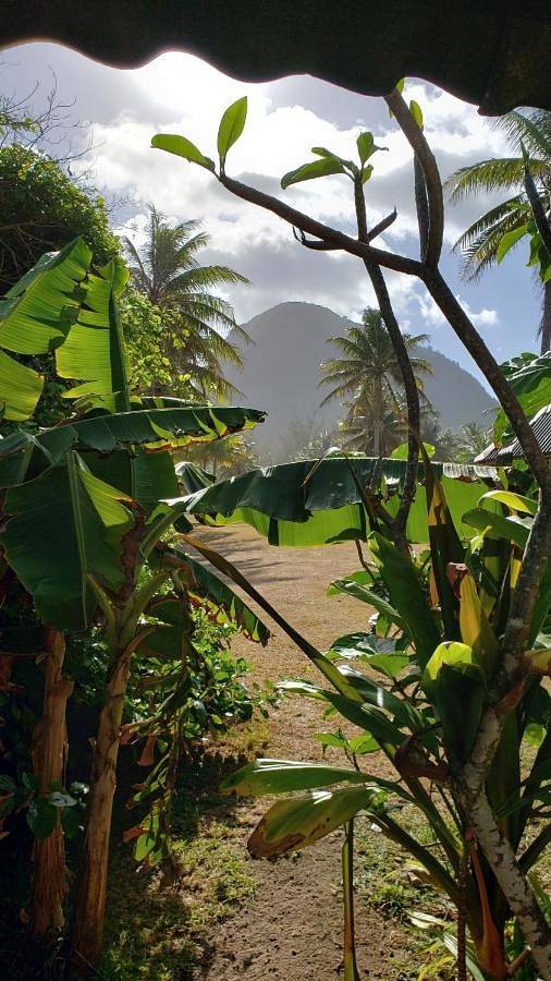 Chambre d’hôte pour 2 personnes, avec jardin et vue dans Huahine - 2