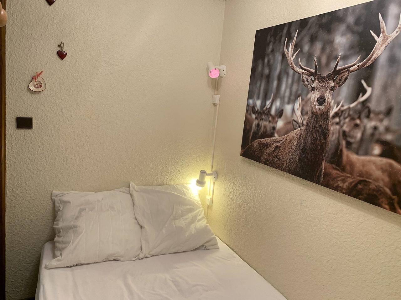 Estudio entero, Résidence Isabella F - Apartamento cabina para 4 personas (21) in Les Saisies, Albertville region