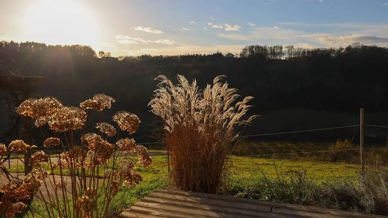 Ferienhaus für 5 Personen (80 m²) in Feldbach in Südoststeiermark, Feldbach