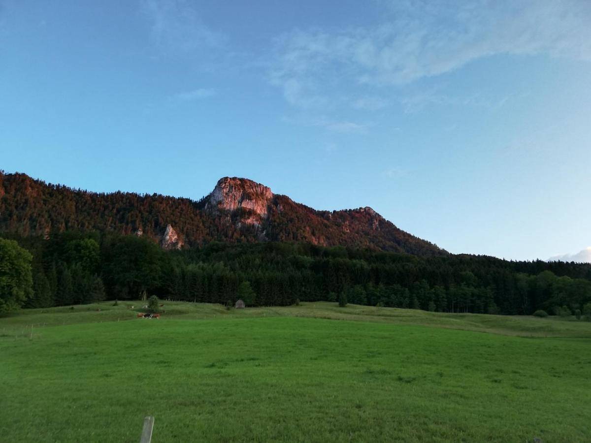 Ganze Wohnung, Am Mondseeblick in Sankt Lorenz, Mondsee & Irrsee