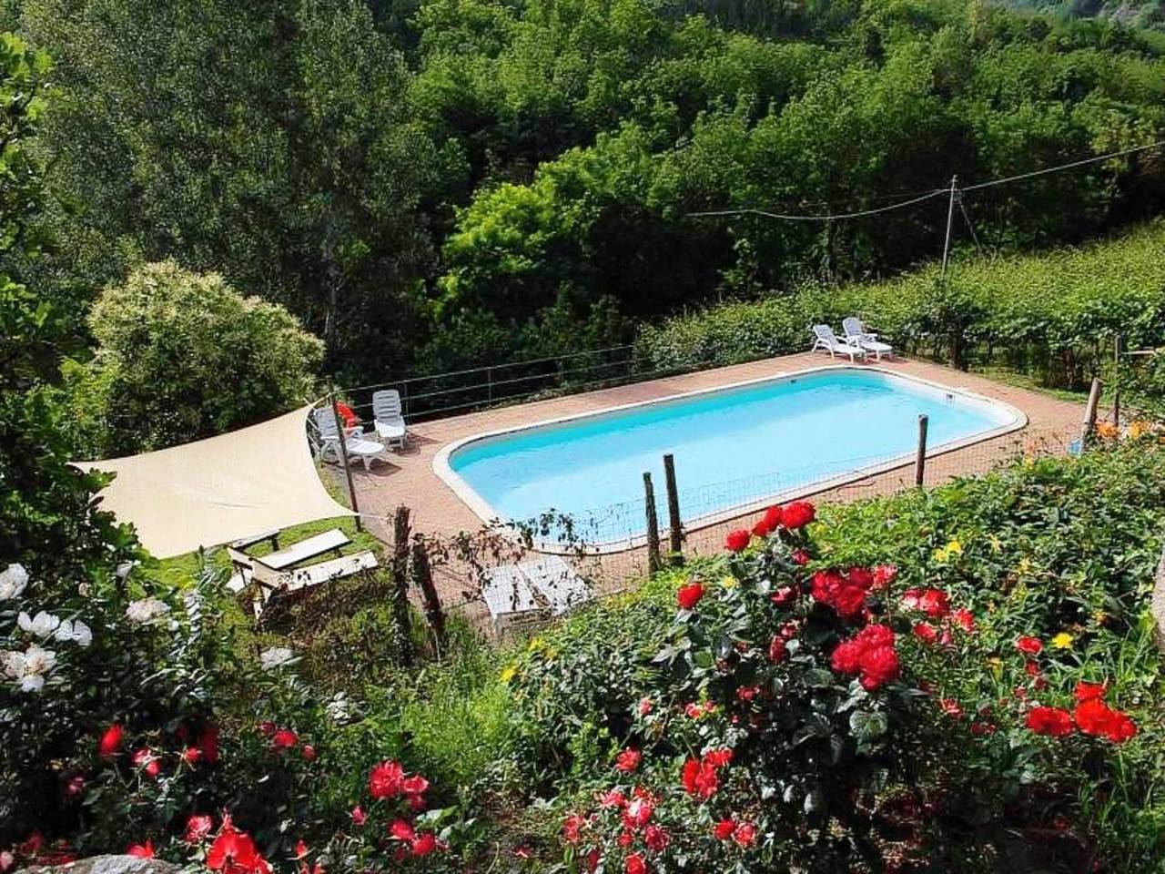 Rustikale Wohnung mit Swimmingpool in Modigliana, Forlì-Cesena Provinz