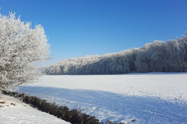 Ferienwohnung für 5 Personen, mit Balkon und Garten - 1