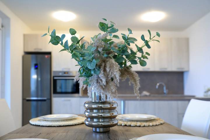 Ferienwohnung für 5 Personen, mit Terrasse und Garten in Petrcane - 2