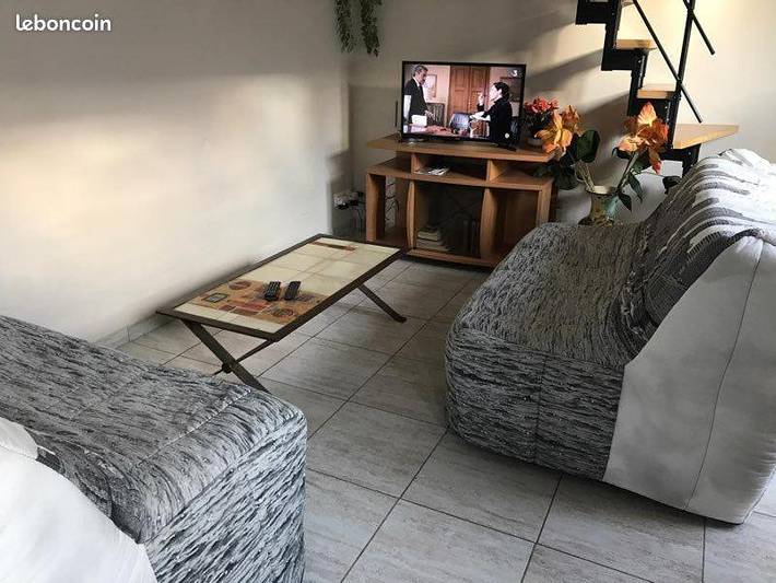 Location de vacances pour 4 personnes, avec jardin à Fleury-les-Aubrais - 3