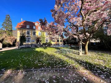 Hôtel pour 2 personnes, avec terrasse et sauna ainsi que jardin et piscine, animaux acceptés à Thann