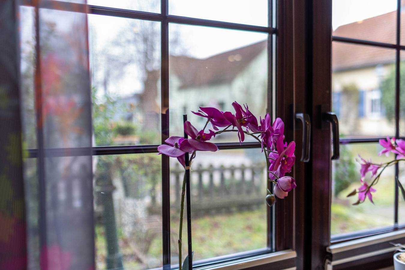 Ganze Wohnung, Ferienhaus 'Am Reiterhof' mit privater Terrasse, privatem Garten und Wlan in Densow, Templin