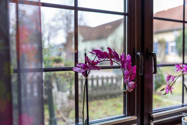 Ferienwohnung für 6 Personen, mit Garten in Templin - 4