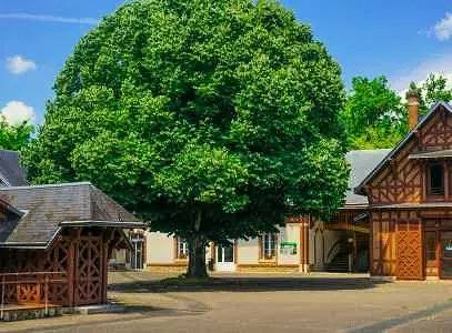 Gîte pour 13 personnes, avec sauna et piscine dans Centre-Val de Loire