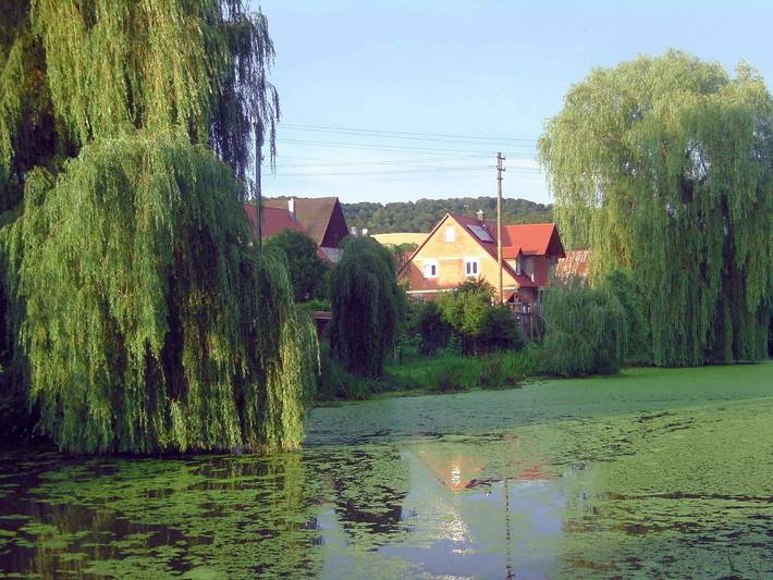 Ganze Ferienwohnung, Ferienwohnung Kanzinger - Ferienwohnung, 73 qm, 1 Schlafzimmer, max. 3 Personen in Iphofen, Fränkisches Weinland