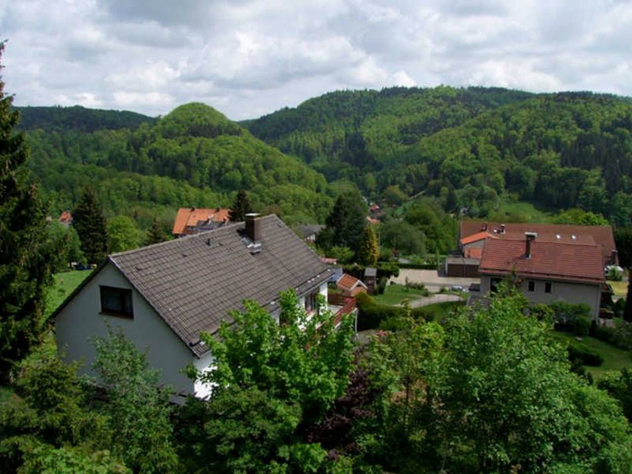 Ganze Ferienwohnung, Haus Berggarten - Ferienwohnung Haus Berggarten in Wieda, Harzvorland