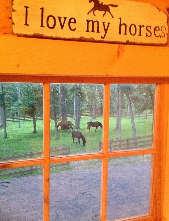 Vacation rental for 4 people, with terrace and yard in Shenandoah Valley