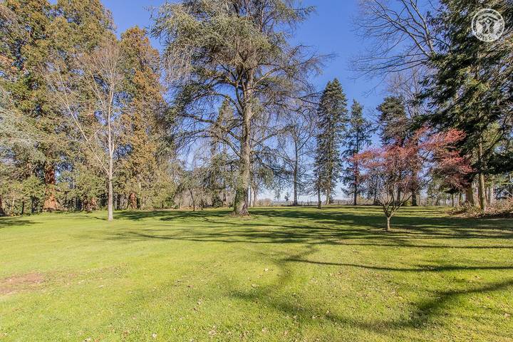 Gîte pour 6 personnes, avec terrasse et jardin à Martigny-le-Comte - 2