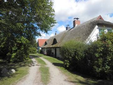 Ferienhaus für 6 Personen in Vieregge, Neuenkirchen (Rügen), Bild 3