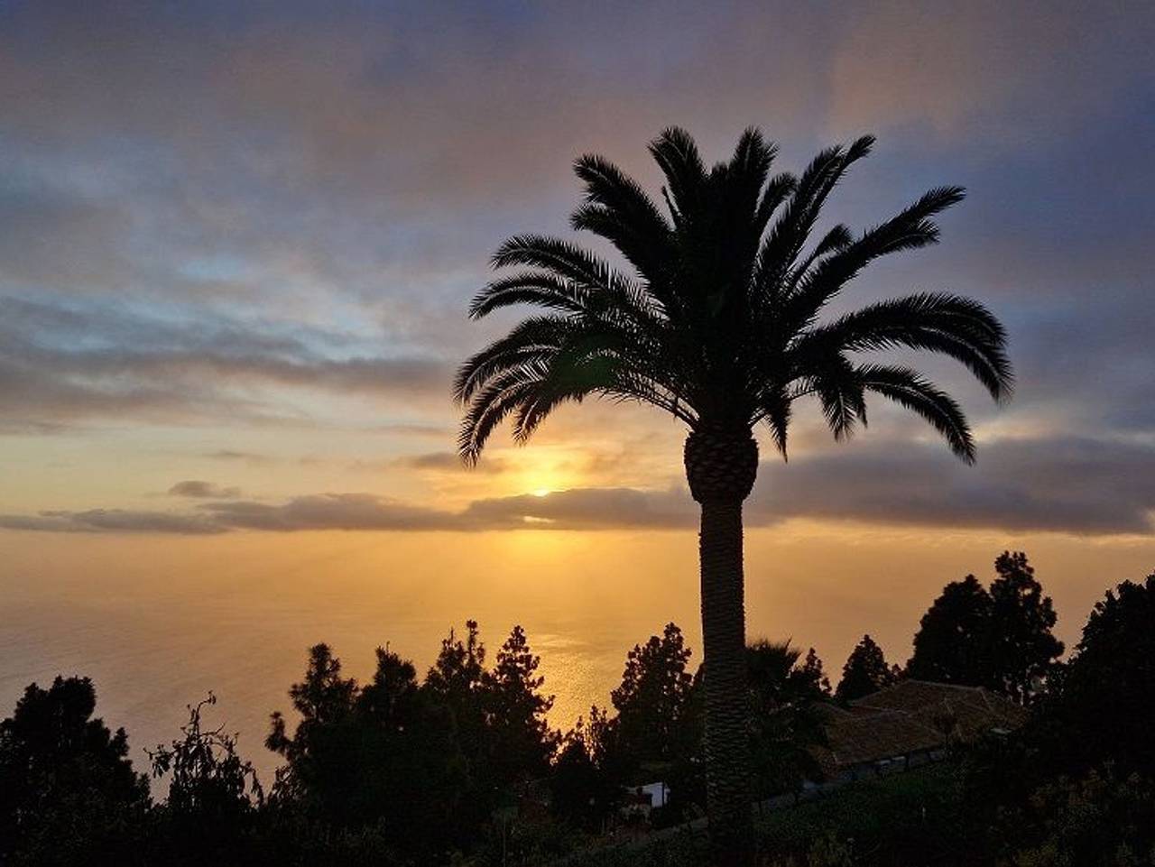 Sol - Sol in Tinizara, Tijarafe