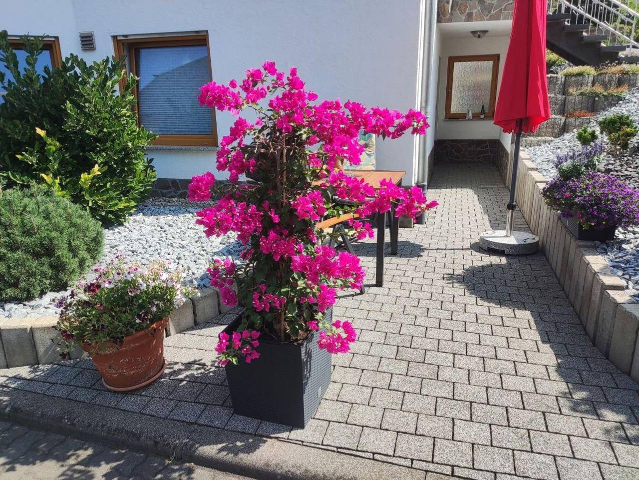Ganze Ferienwohnung, Ferienwohnung Moselzeit in Alken, Osteifel
