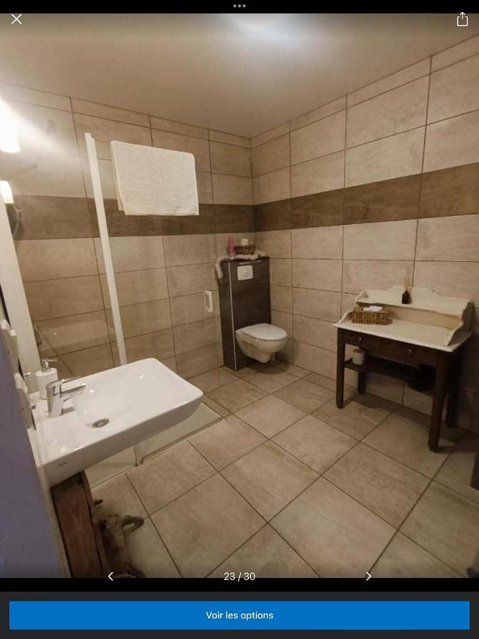 Location de vacances pour 14 personnes, avec jardin et jacuzzi dans Chevroches - 4