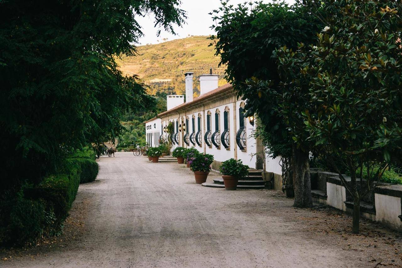 Suite in Lamego, Vale do Douro