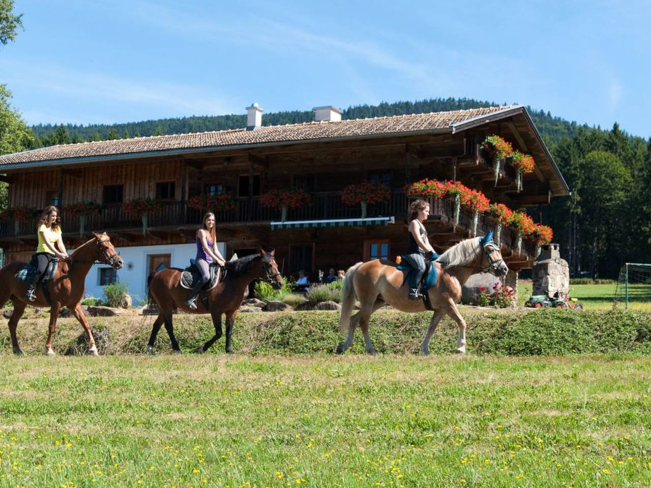 Woferlhof in Arnbruck, Baviera Oriental