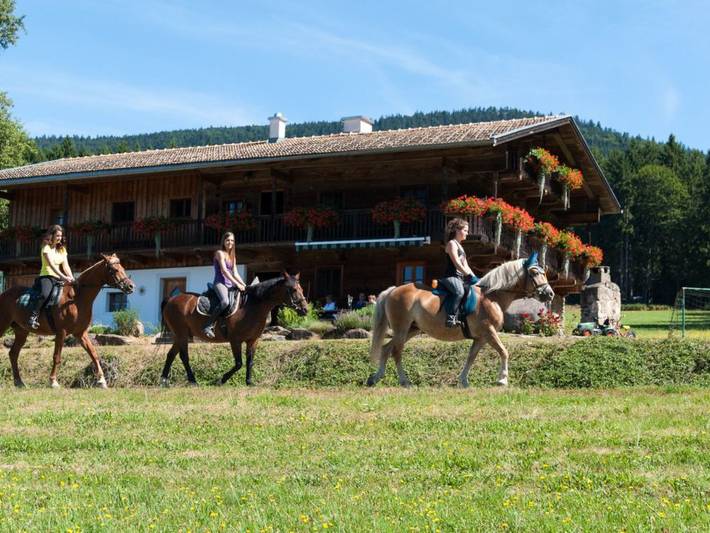 Ferienhaus für 10 Personen, mit Garten in Arnbruck - 3
