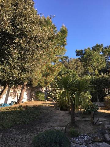 Gîte pour 6 personnes, avec jardin et terrasse dans Plage des Huttes