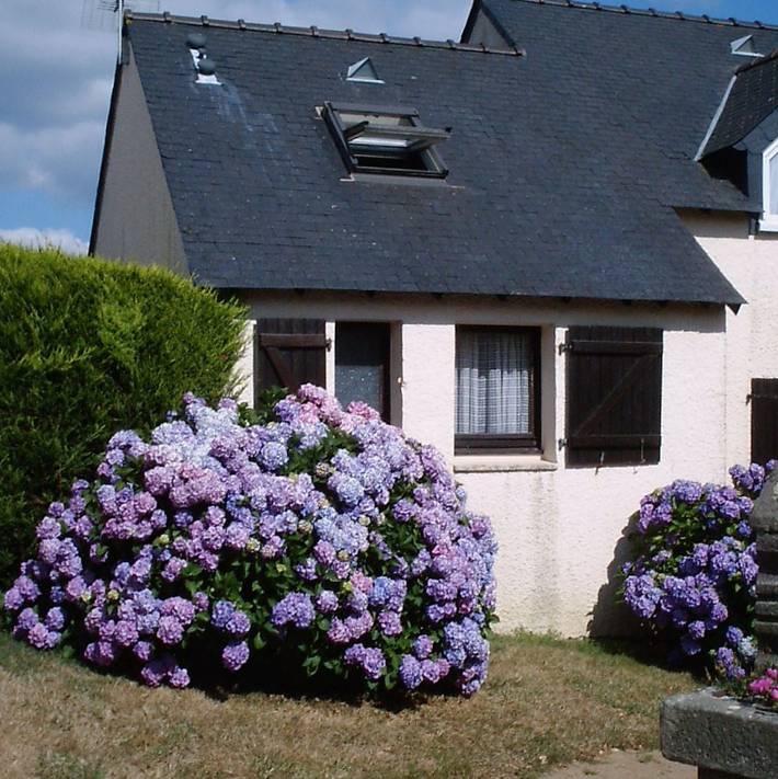 Gîte pour 4 personnes, avec jardin ainsi que piscine et terrasse, animaux acceptés