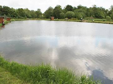 Ferieudlejning til 5 Personer i Vejen, Billede 3