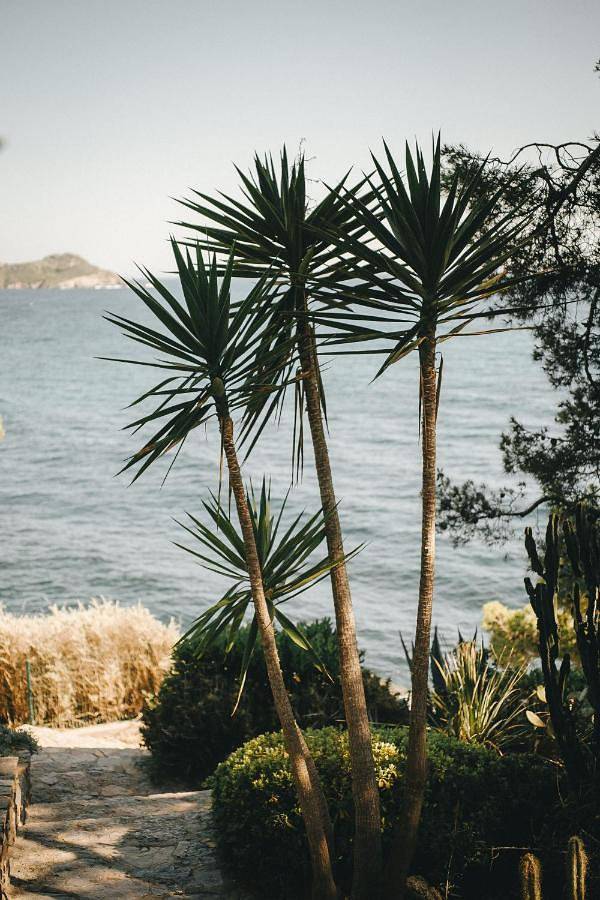 Hôtel Le Provençal - Rénové en 2025 - Bord de Mer in La Madrague, Hyeres
