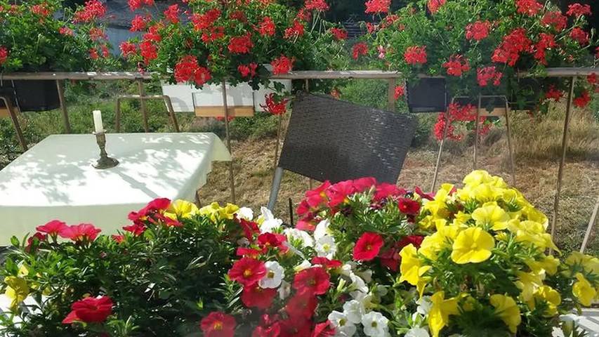 Ferienwohnung für 5 Personen, mit Garten in Kell am See - 3