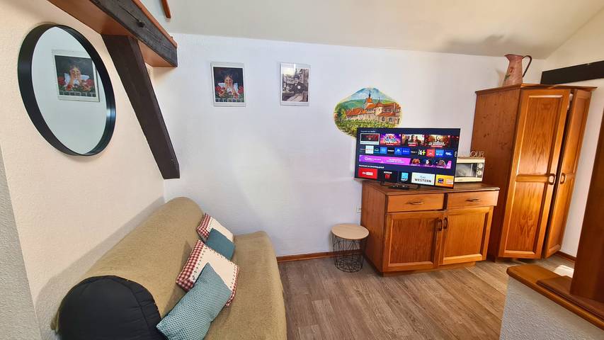 Gîte pour 2 personnes, avec piscine ainsi que terrasse et jardin, animaux acceptés à Beblenheim - 3