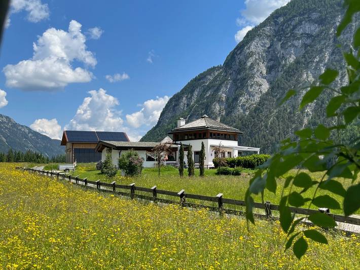 Ferienhaus für 6 Personen, mit Sauna und Whirlpool sowie Garten und Terrasse, mit Haustier in Leutaschklamm - 3