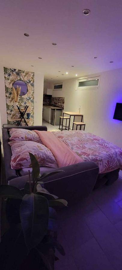 Gîte pour 2 personnes, avec jardin à Saint-Hilaire-du-Rosier - 4