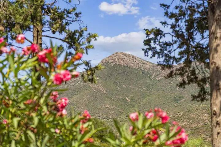 Location de vacances pour 6 personnes, avec vue et jardin, animaux acceptés dans Portixeddu - 3