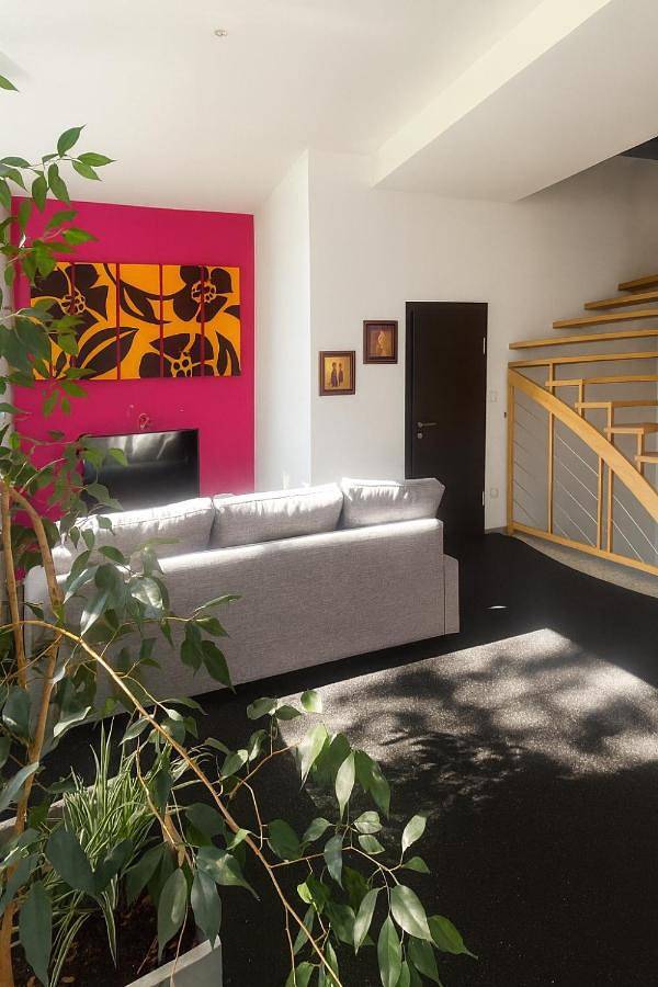 Gîte pour 8 personnes, avec jardin ainsi que sauna et terrasse à Brumath - 3