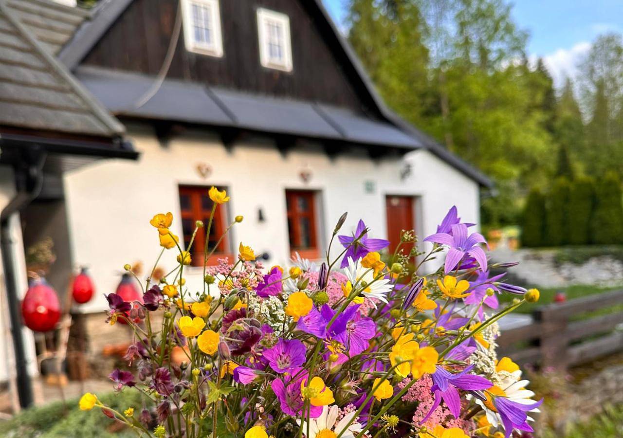Two-Bedroom House in Donovaly, Low Tatras