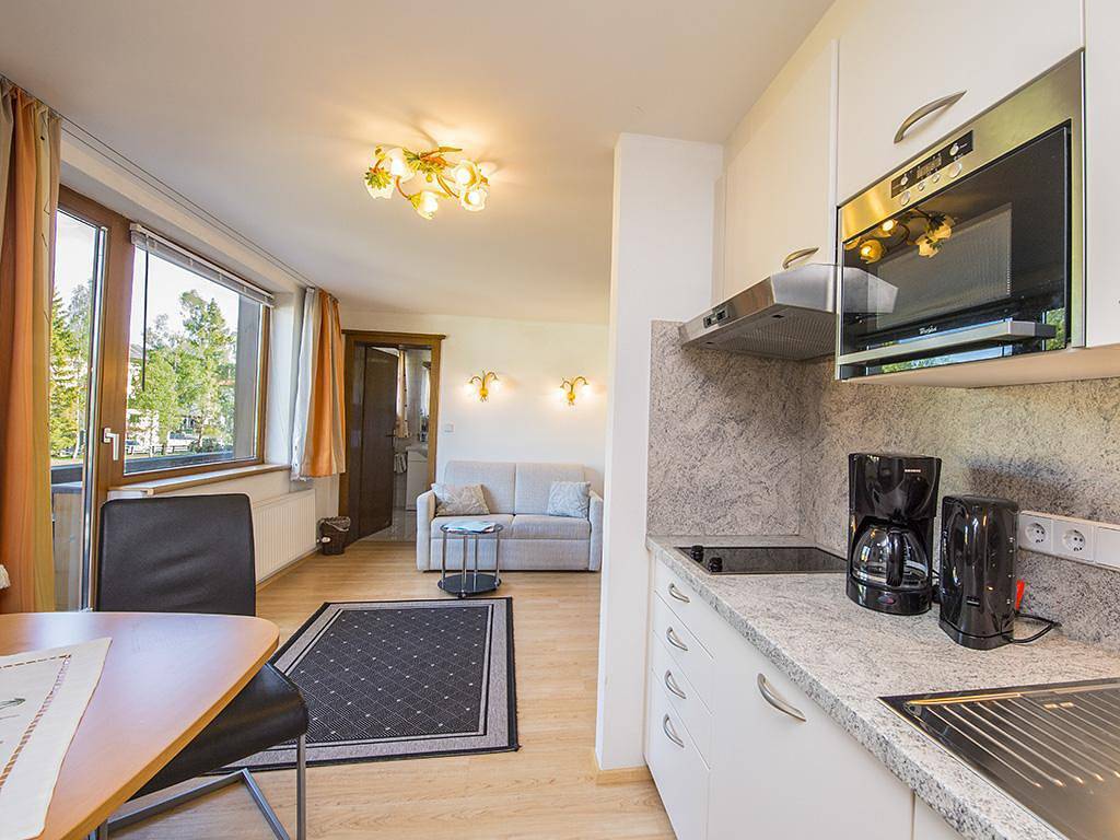 Entire holiday apartment, Apartment B, 1 bedroom, shower, Wc in Seefeld in Tirol, Innsbruck Land