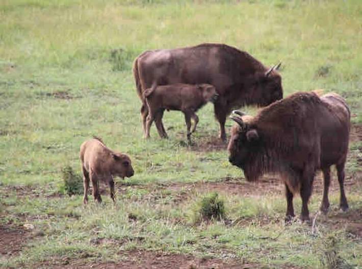 Gîte pour 2 personnes, avec balcon et vue à Gréolières - 3